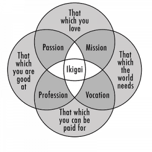 Personal work life balance ikigai