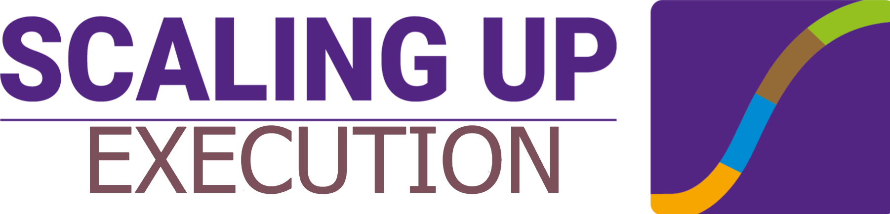 scaling up 4d icon execution color scaling up 4d icon execution color